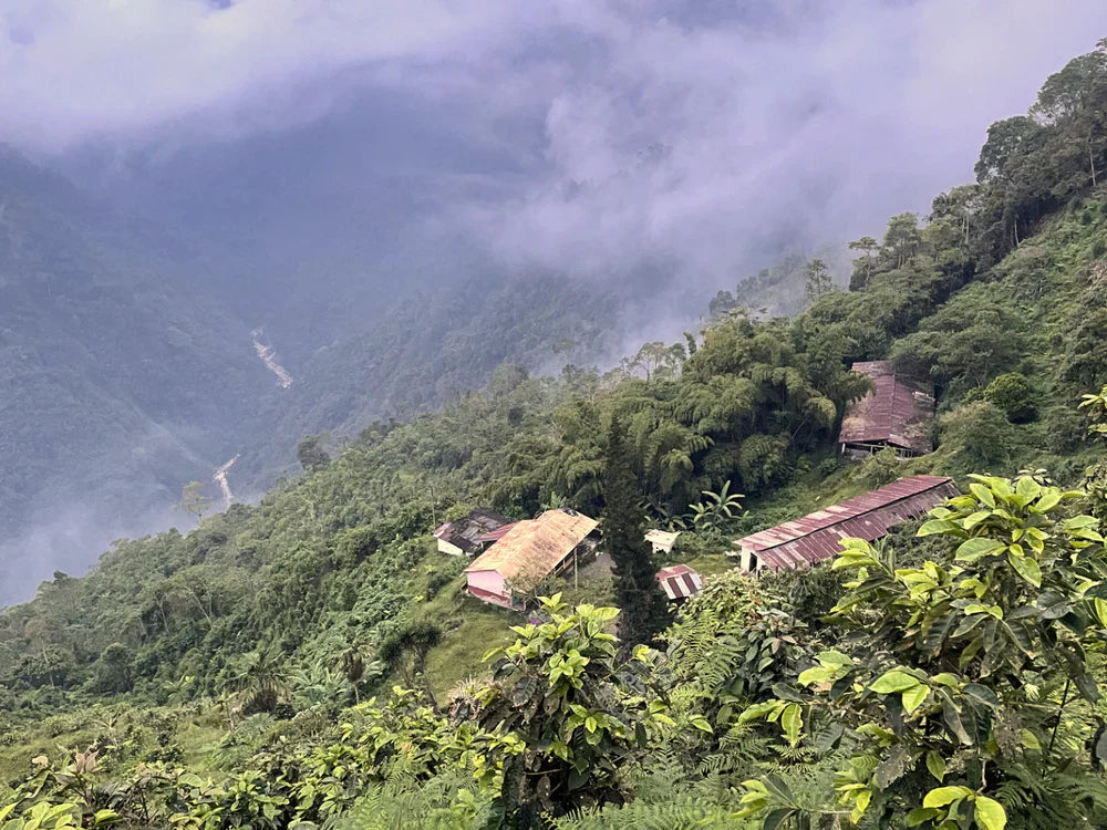Finca, Fazenda, Washing Station? Das ABC der Kaffeefarmen weltweit