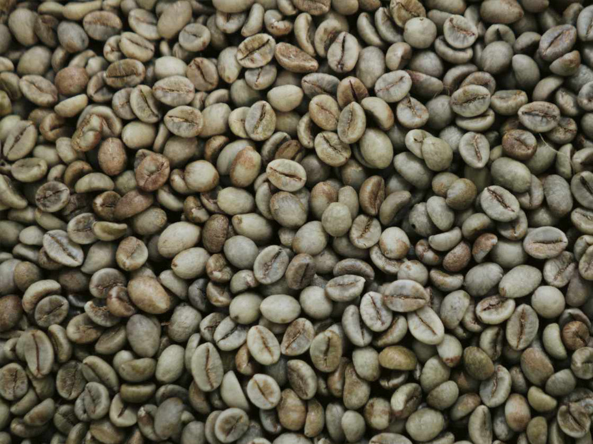 Rohkaffeebohnen, auch grüner Kaffee genannt. Titelbild zum Blogbeitrag.