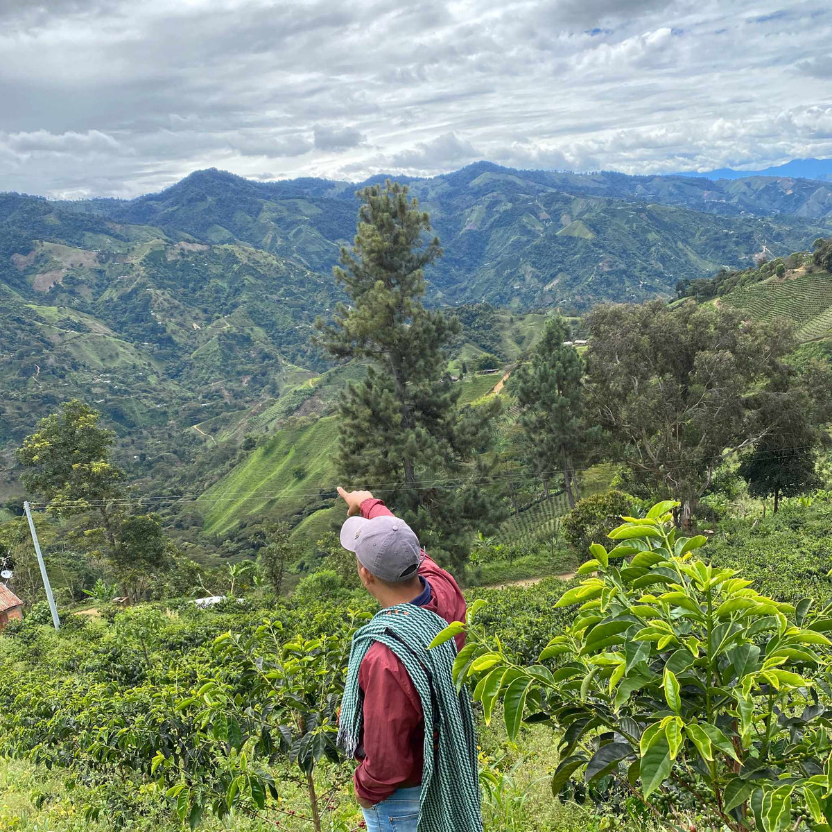 COLOMBIA La Roca Filterkaffee