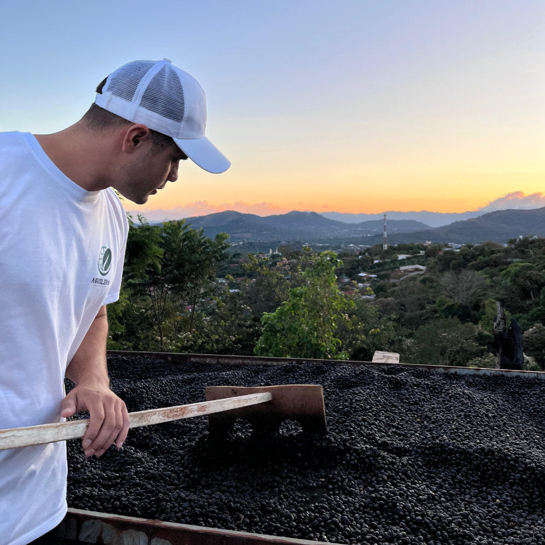 Dylan Aguilera auf der Finca Tono in Costa Rica mit getrockneten Kaffeekirschen
